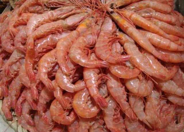 الجمبرى الجامبو يبدأ من 370 حنيهًا.. سعر السمك اليوم الخميس 6 يوليو 2023 في سوق العبور