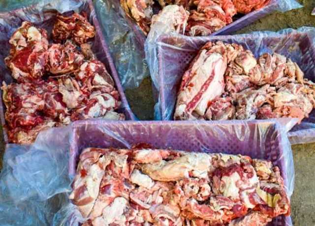 إعدام كمية من اللحوم المجمدة في حملة تموينية بشمال سيناء
