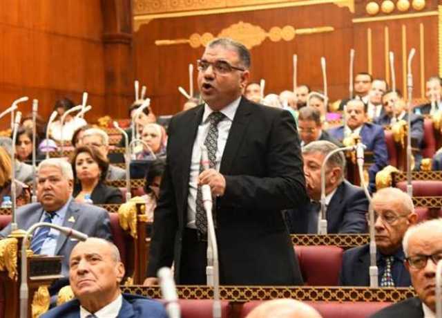 برلماني: ذكرى ثورة 23 يوليو ستظل خالدة في وجدان وذاكرة المصريين