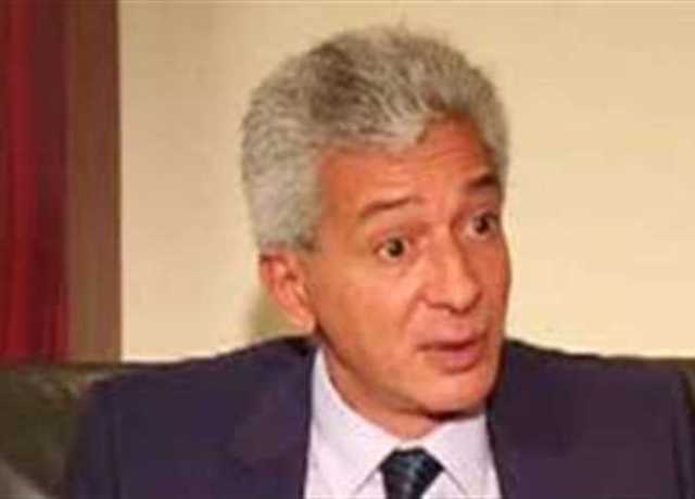 اتحاد الغرف التجارية: حظر الاستيراد في مصر إشائعات مغرضة