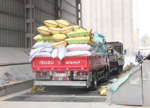 تموين الشرقية: توريد 534.2 ألف طن من محصول القمح للشون والصوامع