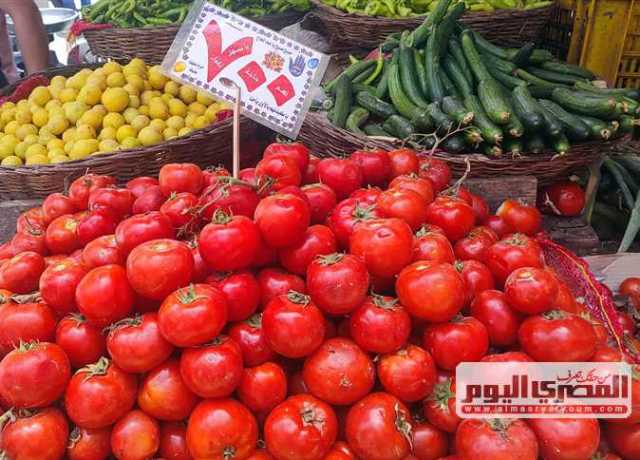 أسعار الطماطم والبطاطس والخضار بالأسواق الخميس 20 يوليو 2023
