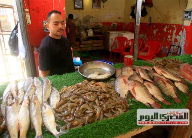 ارتفاع البوري وتراجع البلطي.. سعر السمك اليوم الثلاثاء 11 يوليو 2023 بسوق العبور