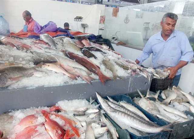 اليوم.. نهاية العمل بقرار منع الصيد بالسنار بالبحر الأحمر بعد شهرين من الحظر