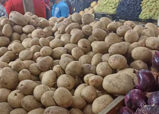 تراجع البطاطس.. أسعار الخضار والفاكهة اليوم الجمعة 4 أغسطس 2023 في الأسواق