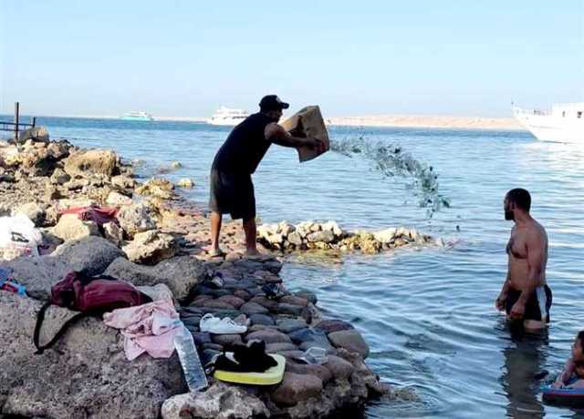 مطالب بالتحقيق في واقعة إلقاء عامل بمطعم مخلفات زجاجية في شاطئ مفتوح بالغردقة