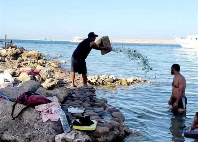 «البحر الأحمر»: عقوبة عامل «شاطئ الغردقة» تصل إلى مليون جنيه في إلقاء زجاجات مياه بالبحر