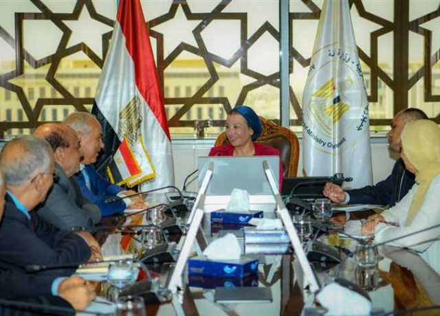وزيرة البيئة تناقش آليات دعم تنفيذ مشروع إنتاج الأخشاب الـ MDF في مصر