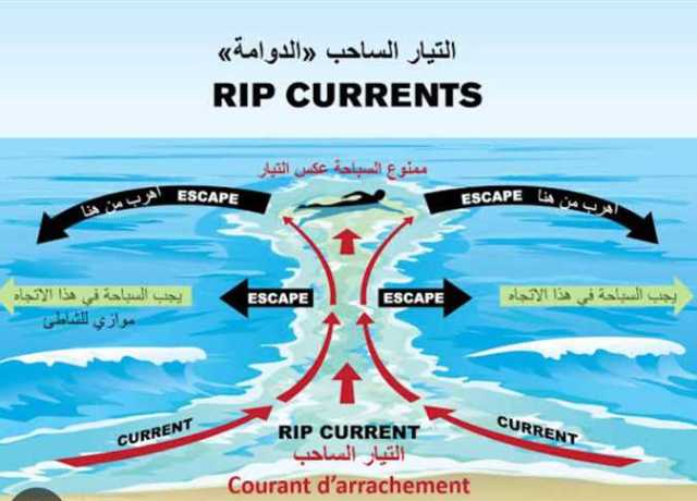 «احذروا الدوامة والتيار الساحب».. شواطئ الإسكندرية ترفع الرايات الحمراء (صور)