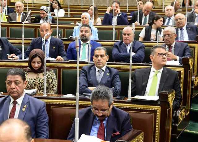 نائبة التنسيقية توافق على قانون التحالف الوطني: تجربة فريدة لدعم العمل الأهلي في مصر