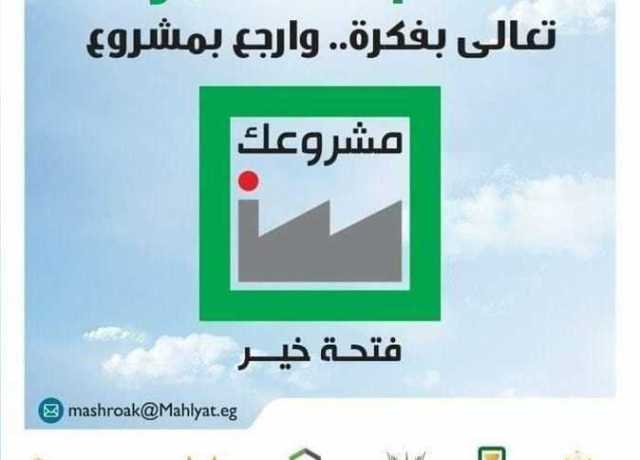 قروض بـ6 مليارات جنيه.. تعرف على جهود 3 محافظات بالمشروعات الصغيرة والمتوسطة للشباب