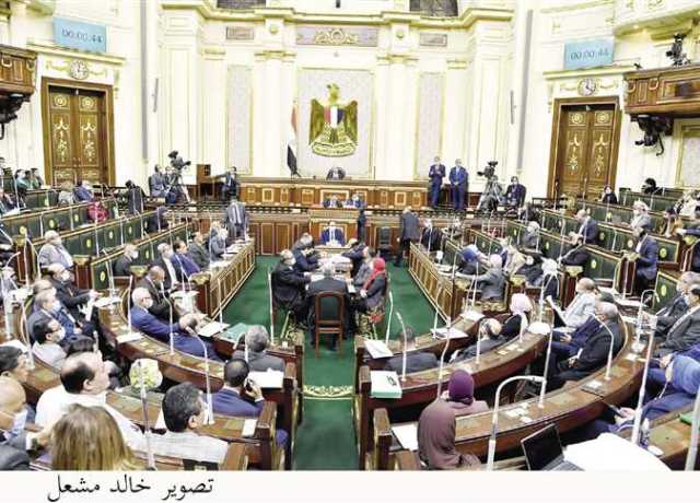 نائب: دعوة مصر لعقد قمة دول جوار السودان يستهدف الحفاظ على الدولة