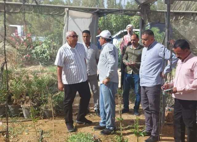 محافظ الوادي الجديد يتفقد عددًا من المشروعات الزراعية