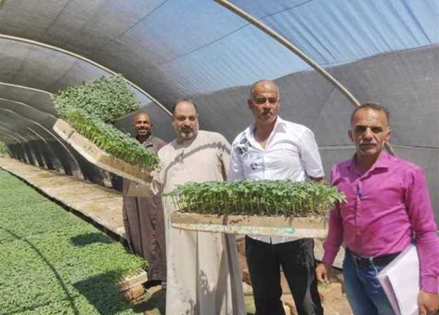 لجنة فنية لحصر حدائق الفاكهة وإكثار النباتات والكشف المبكر عن الفطريات بالإسكندرية (صور)