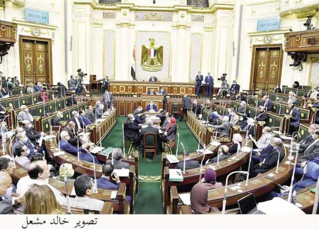 عضو «تشريعية النواب» يطالب بسن تشريع لمواجهة «الشذوذ»