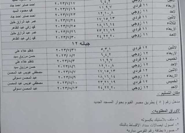 اليوم.. تسليم المدافن الجاهزة للحاجزين بالجيزة (تفاصيل)