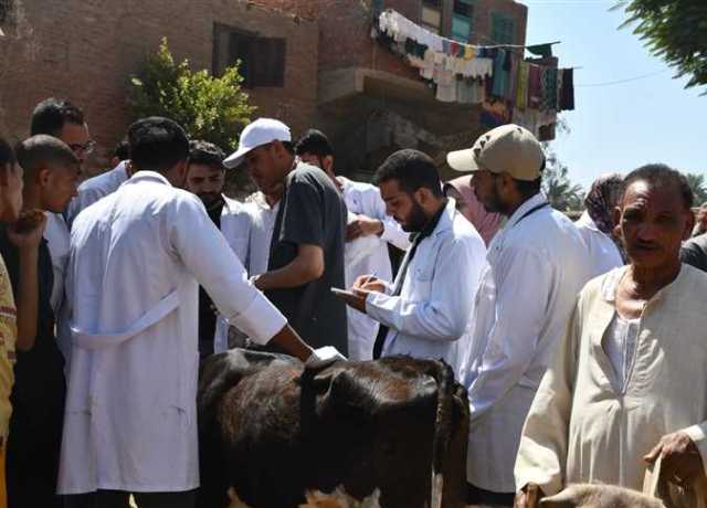 جامعة سوهاج: قافلة بيطرية مجانية لقرية «الأحايوة» تعالج ٢٤٢ رأس ماشية