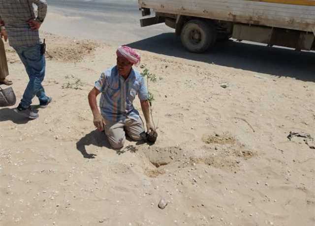 تشجير وتجميل الطريق الدولي بشمال سيناء