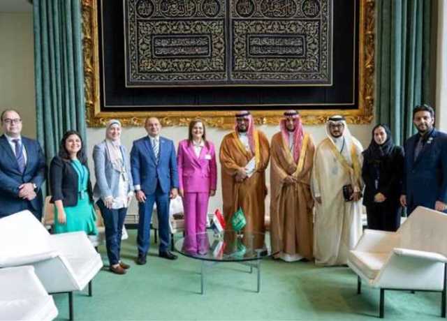 مباحثات «مصرية -سعودية» لتعزيز التعاون بين البلدين