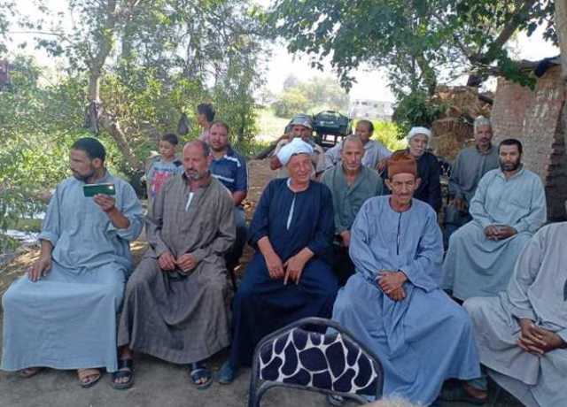 «زراعة الشرقية» تنظم حقلًا إرشاديًا للنهوض بمحصول الذرة الشامية