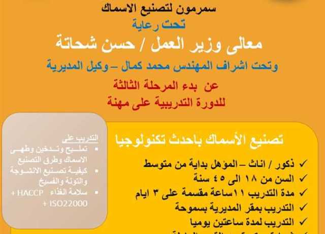 للحد من مشكلة البطالة.. «العمل» تدرب الشباب في مجال تصنيع الأسماك بالإسكندرية