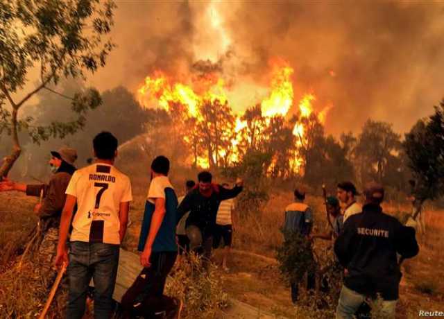 جزيرة رودس اليونانية.. استمرار الحرائق وفرار آلاف المواطنين بسبب درجات الحرارة (تفاصيل)