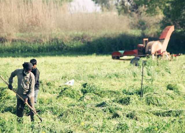 الأمم المتحدة: ارتفاع درجات الحرارة يعرض حياة العمال والموظفين للخطر ويخفض من الإنتاجية