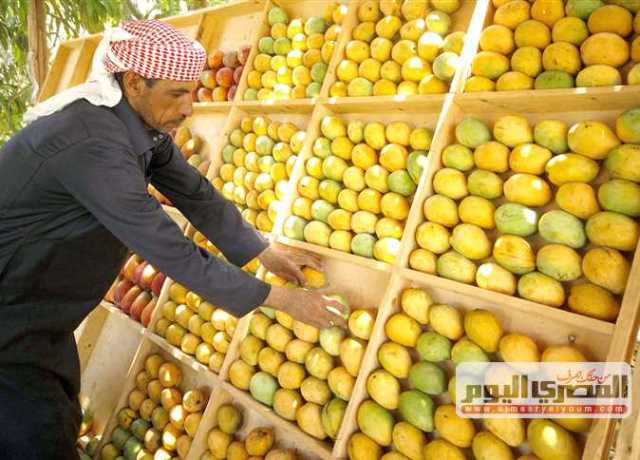 «المانجو الإسماعيلاوى».. على الأصل دوّر