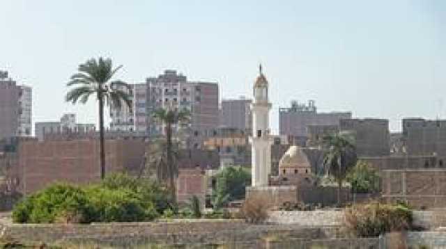 برلماني وإعلامي مصري شهير يكشف لـRT نوع المرض المنتشر في قرية العليقات بمحافظة قنا