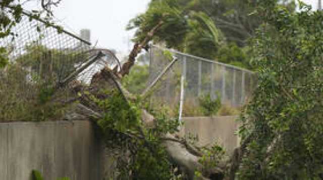 اليابان.. إعصار 'خانون' يقتل شخصين ويصيب 58 آخرين