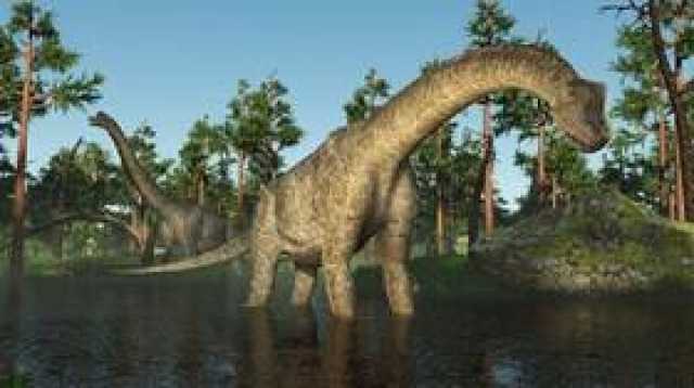 الهند..العثور في صحراء تار على بقايا ديناصور عمرها 167 مليون عام