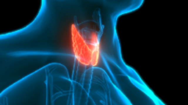طبيب روسي يوضح ضرورة فحص الغدة الدرقية