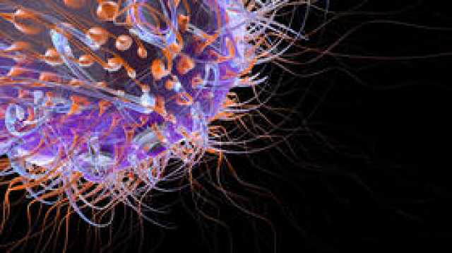 دواء متاح لسرطان الدم يظهر نتائج واعدة في قتل خلايا فيروس نقص المناعة البشرية 'الصامتة'