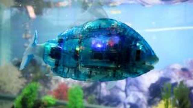 روبوت 'سمكة' روسي لعمليات البحث والمراقبة