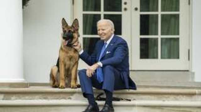 'سي إن إن': كلب بايدن يعض 11 من أفراد الخدمة الأمنية السرية في البيت الأبيض