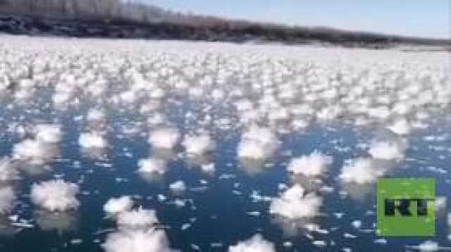 الآلاف من 'أزهار الجليد' تغطي نهرا في ياقوتيا الروسية! (فيديو)