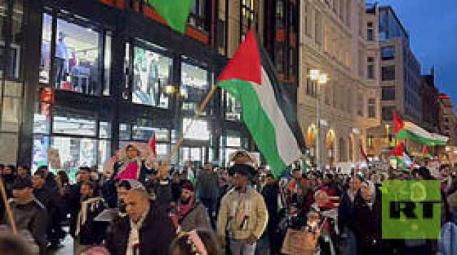 مظاهرة حاشدة في برلين تضامنا مع فلسطين (فيديو)