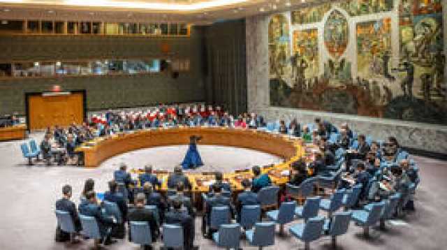 مندوبة مالطا: مجلس الأمن الدولي اقترب من تبني قرار بشأن التصعيد الفلسطيني الإسرائيلي