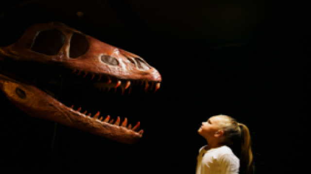 الديناصورات قد تكون المسؤولة عن تقصير عمر البشر