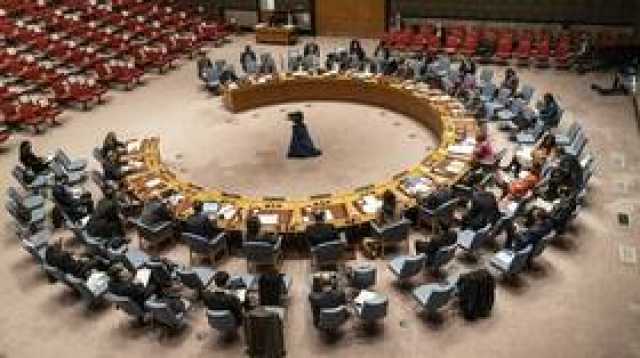 الإمارات تطلب عقد جلسة لمجلس الأمن الدولي حول غزة الاثنين القادم