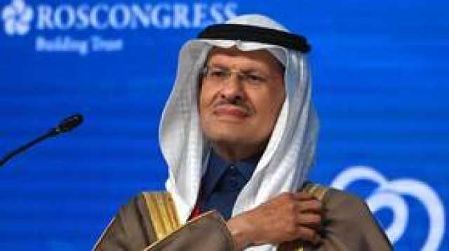 الأمير عبد العزيز بن سلمان: الطلب على البتروكيميائيات سيواصل النمو