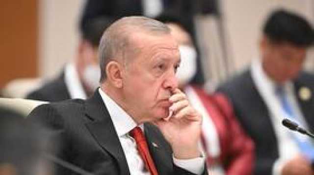 أردوغان: تركيا تدافع عن القيم الغربية في فلسطين