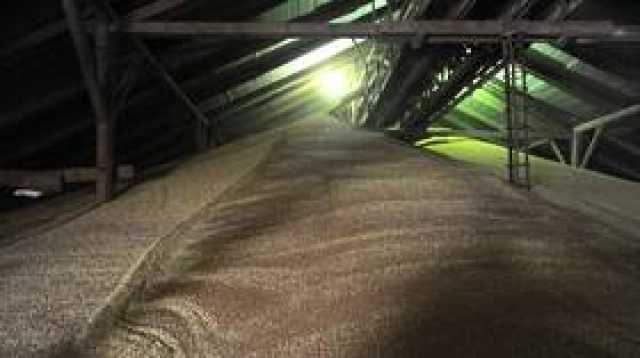 الاتحاد الأوروبي يزيد وارداته من القمح الروسي