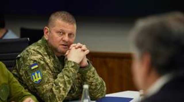 مستشار سابق للرئيس الأوكراني: سبب طرح إقالة زالوجني هو تدمير طائرة 'إيل-76'
