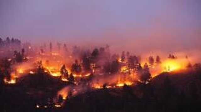 تشيلي.. 19 قتيلا على الأقل بسبب الحرائق