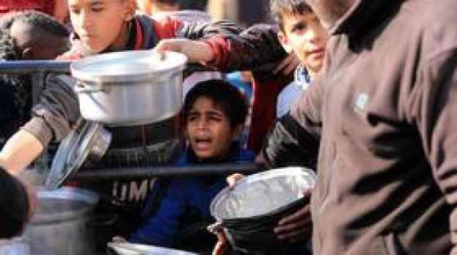 مصر والإمارات تواصلان نقل المساعدات الإنسانية جوا إلى قطاع غزة