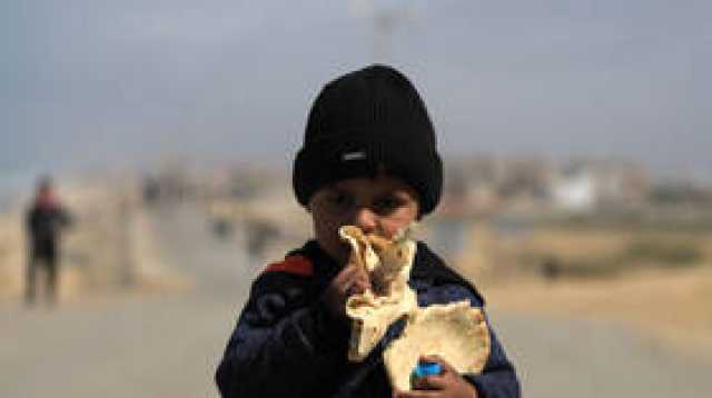 أطفال غزة يدفعون الثمن الأكبر للحرب (فيديوهات)