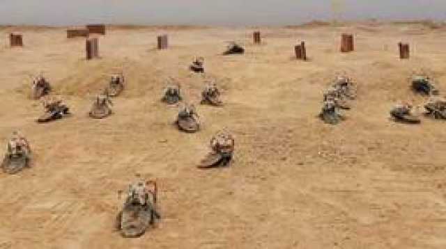 'جيش' من صراصير السايبورغ في الصحراء للتدرب على مهام الإنقاذ! (فيديو)