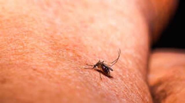 خبراء يحذرون من زيادة انتشار الملاريا بسبب التغير المناخي