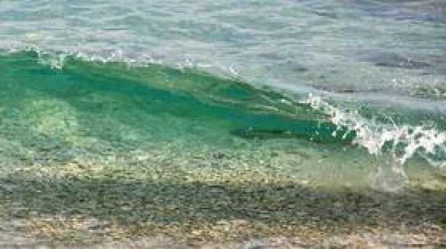 ناسا: شاطئ البحر الأسود يغير لونه